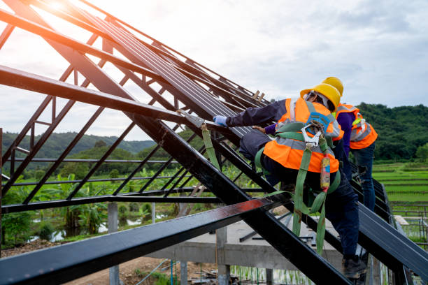 Best Metal Roofing Contractor  in Adamsville, AL