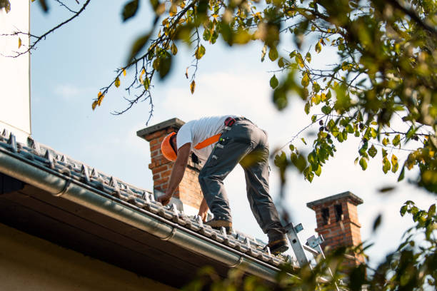 Quick and Trustworthy Emergency Roof Repair Services in Adamsville, AL